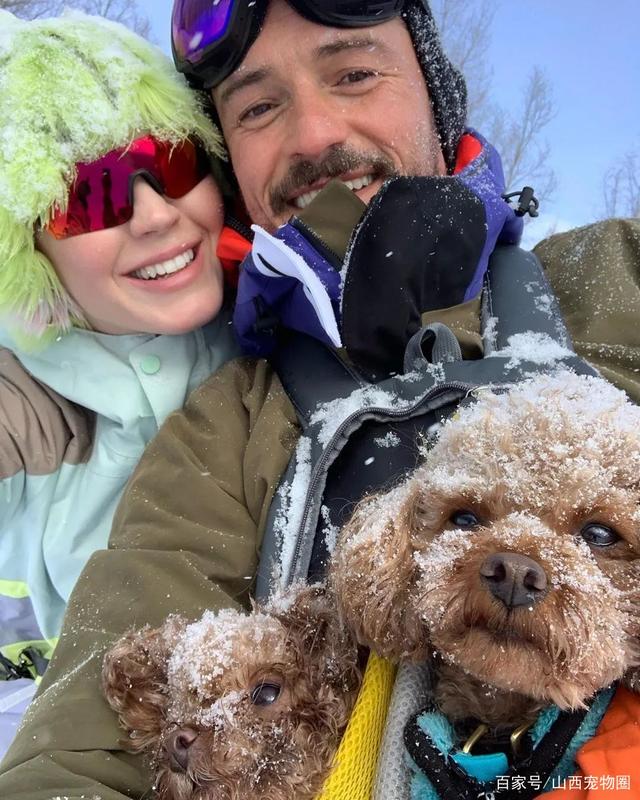 开云注册入口-奥兰多魔术今夜单刀错失，志在欧超杯名次提升，话题不断，赛程密集仍需轮换(历届欧超杯冠军一览)